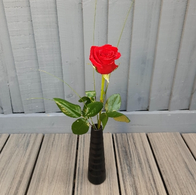 Single Red Rose Vase