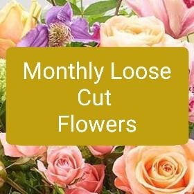 Monthly subscription cut flowers