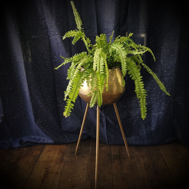 Gold tripod planter (XL)