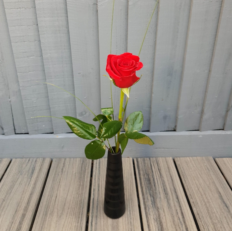 Single Red Rose Vase buy online or call 01424 213023