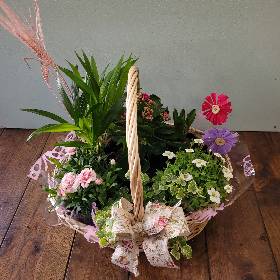 Spring Planted basket